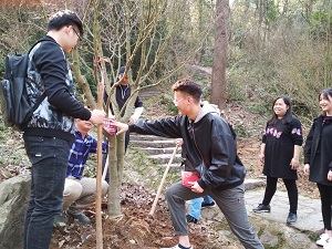 m1520874985432053.jpg MYXJ_20180312175834_save.jpg